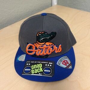 Gray and Blue Gators Snapback Hat